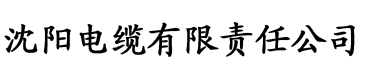 看b站a8直播电缆厂logo